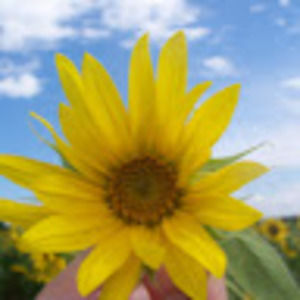 Meet your Posher, Meredith